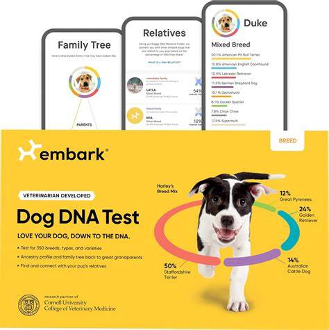 dog dna test