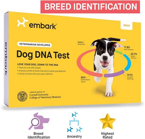 dog dna test kit amazon comparison