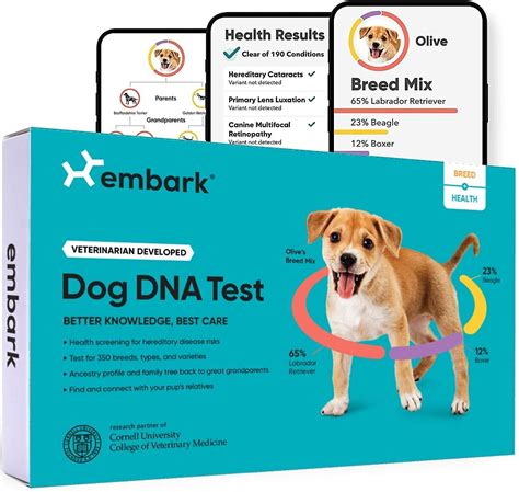 dog dna test kit chewy