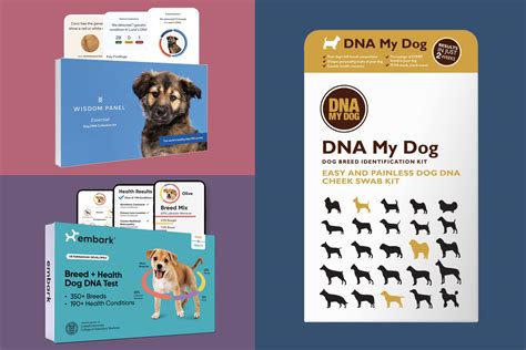 dog dna test kit price