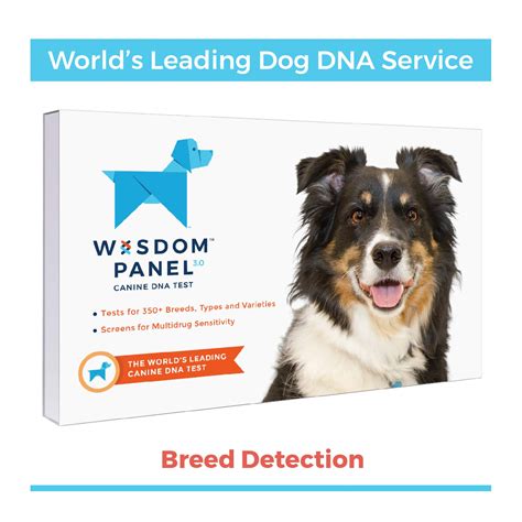 dog dna test near me how long