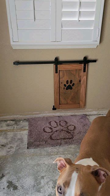 dog door cover