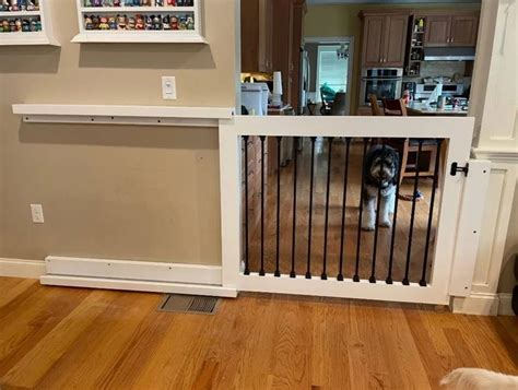Dog Door For Kitchen