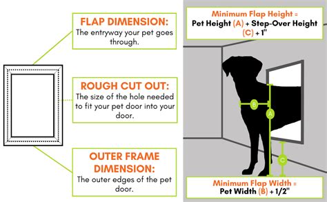 Dog Door Installation Height