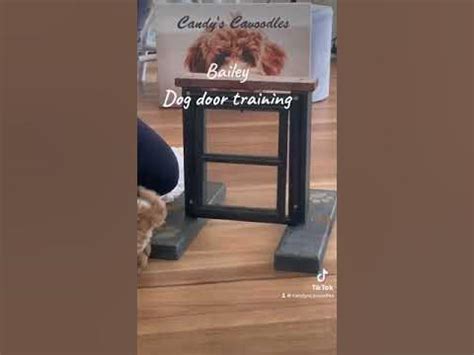 Dog Door Training Instructions
