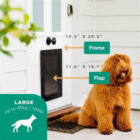 Dog Door With Microchip Sensor