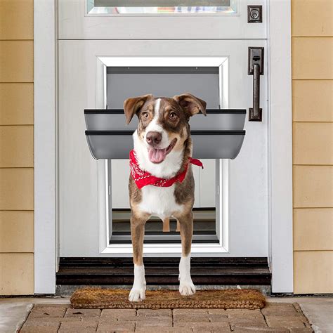 Dog Doors Lockable