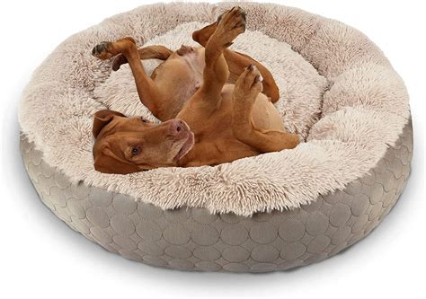 Dog Doughnut Bed Large