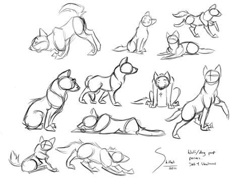 Dog Drawing Poses