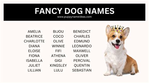 Dog Fancy Name