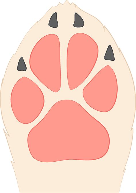 Dog Feet Clipart