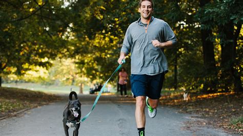Dog Fetch Running Shoes