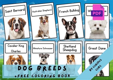 Dog Flashcards Printable