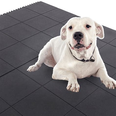 Protect Your Floors and Pamper Your Pup with a Premium Dog Floor Mat - Shop Now!