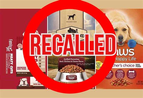 dog food brands never recalled