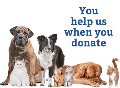 dog food companies that donate to shelters