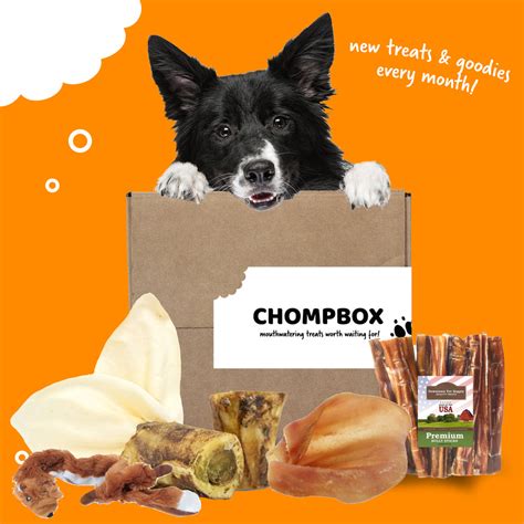 dog food monthly subscription