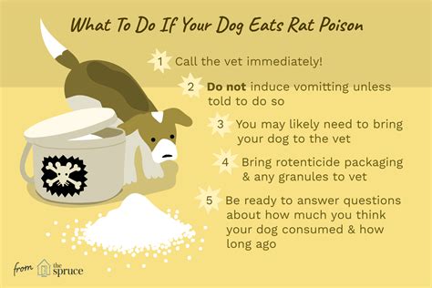 dog food poisoning treatment