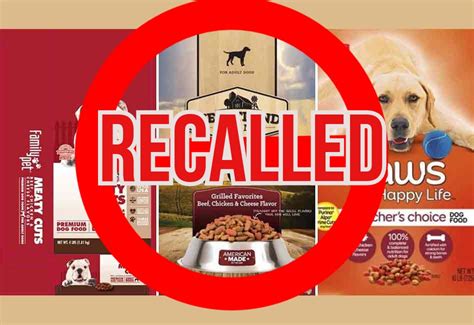 dog food recall 2022 list