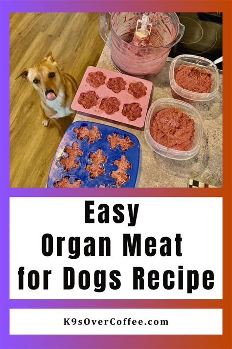 dog food recipes with organ meat