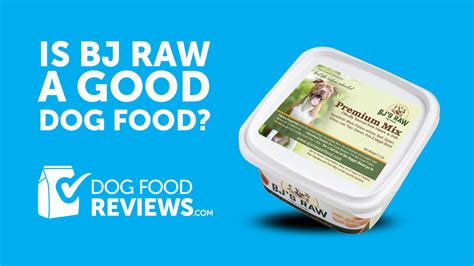 dog food reviews 2023