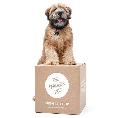 dog food shipped to your door