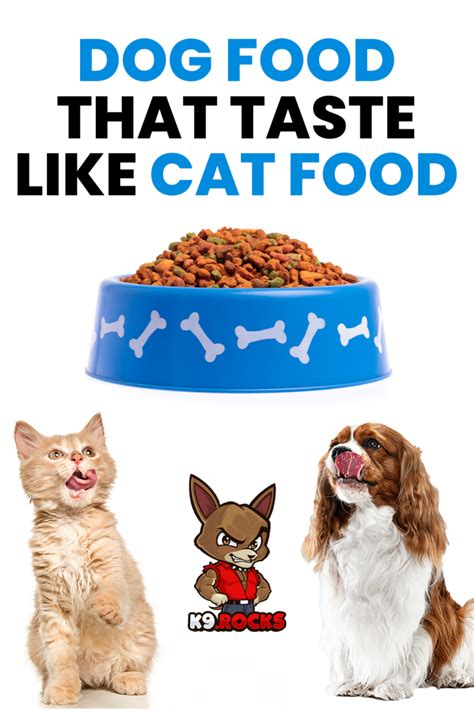 dog food that tastes like cat food