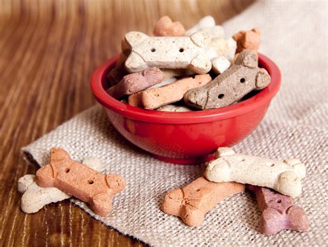 dog food treats health