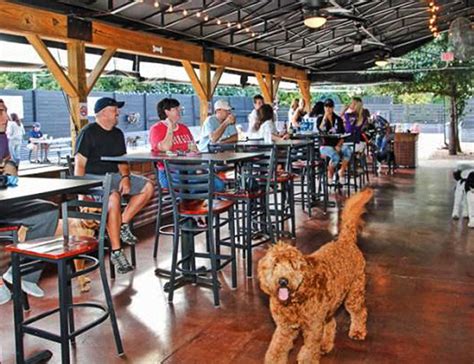 Dog Friendly Bars Columbia Mo