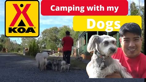 Dog Friendly Camping Delaware