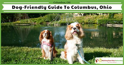 Dog Friendly Columbus Ohio