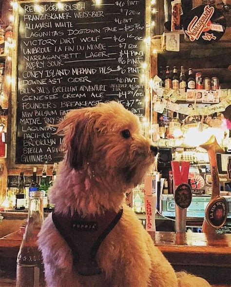 dog friendly dining near me open now