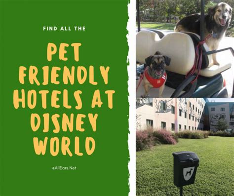 dog friendly disney hotels in new york city