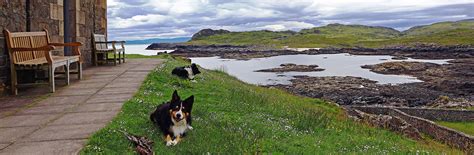 dog friendly holiday cottages scotland 2024