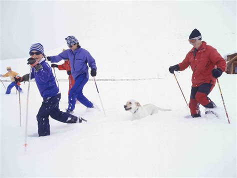 dog friendly lifts ski resorts