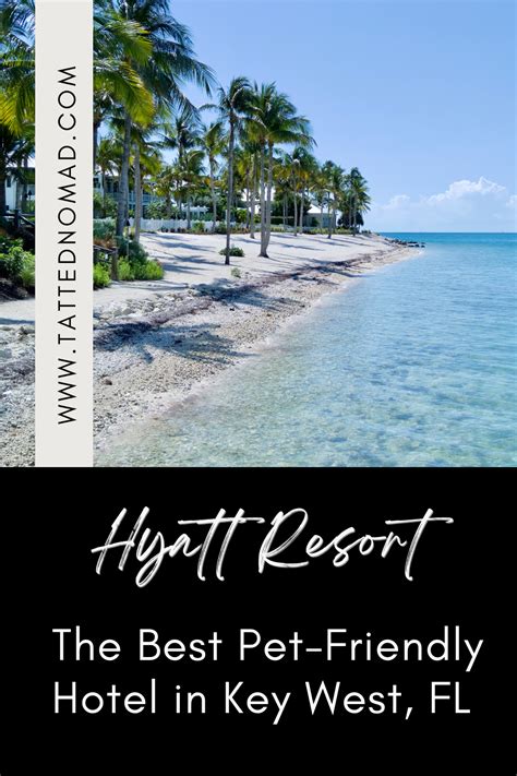 dog friendly places in key west fl