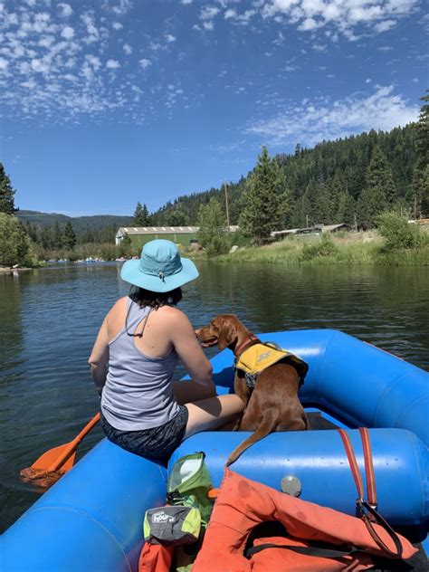 Dog Friendly Rafting Jasper Raft Tours