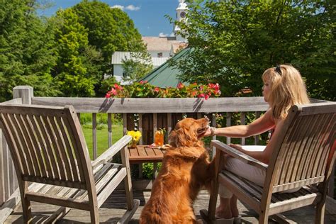 dog friendly restaurants in manchester vt
