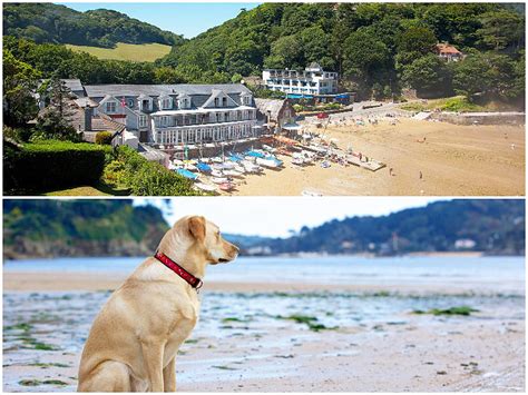 dog friendly short hotel breaks uk