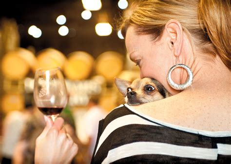 Dog Friendly Wineries Georgia