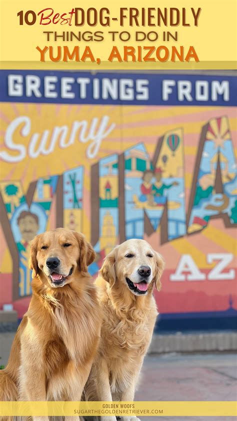 Dog Friendly Yuma Az