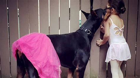 Shocking Truth: Rare Animal Behavior Sheds Light on Human-Dog Dynamics