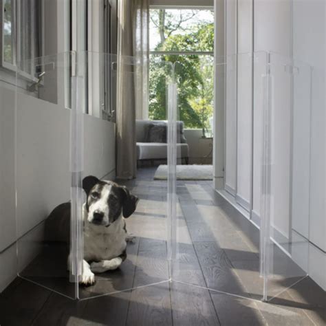 Dog Gate Clear