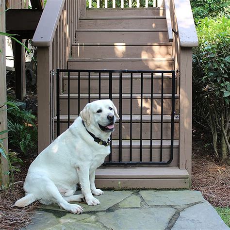 Famous Dog Gates Outdoor 2023