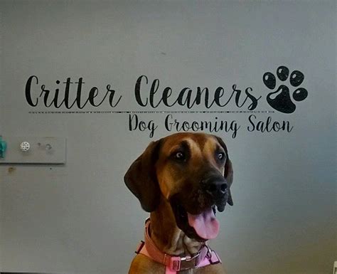 dog groomers in hutchinson kansas