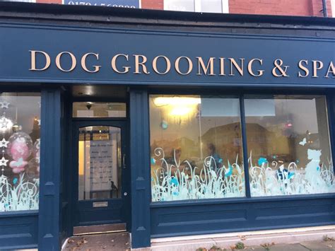 Dog Grooming Business For Sale In Ct