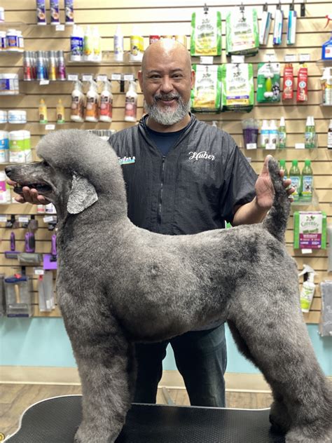 Dog Grooming Classes Saskatoon