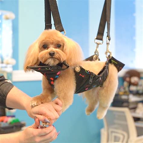 Dog Grooming Hammocks