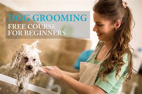 Dog Grooming Lesson