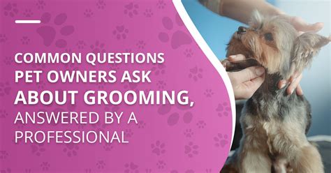 dog grooming questions and answers